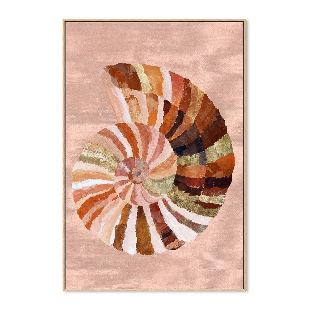 Coastal Shell - Image 4