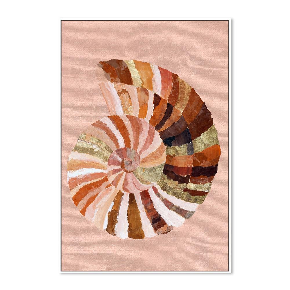 Coastal Shell - Image 5