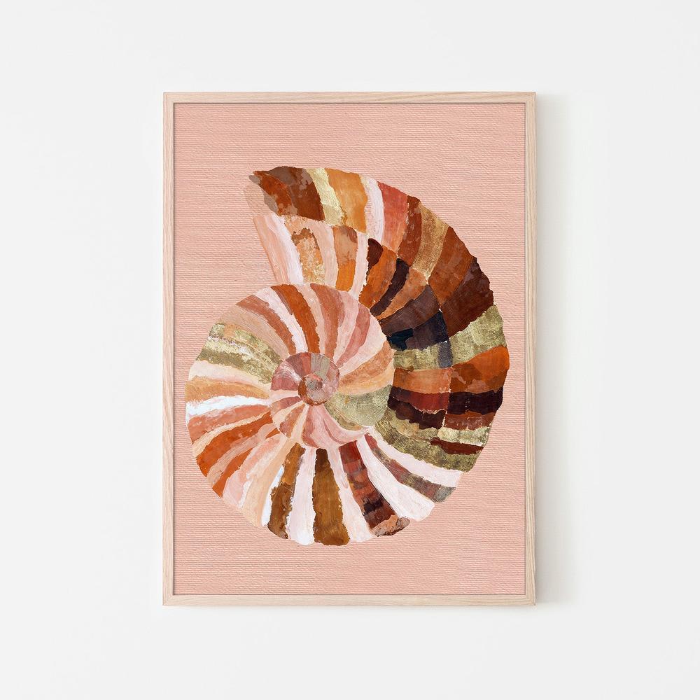 Coastal Shell - Image 6