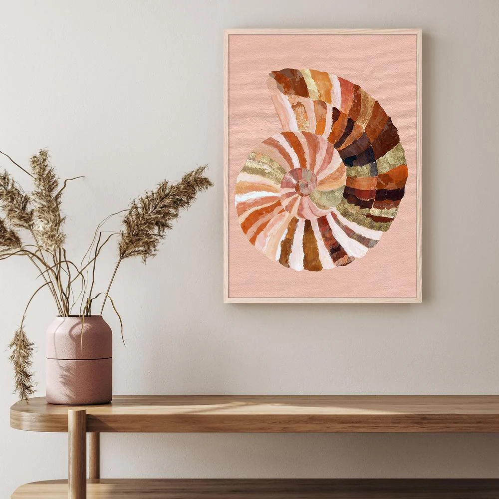 Coastal Shell - Image 9
