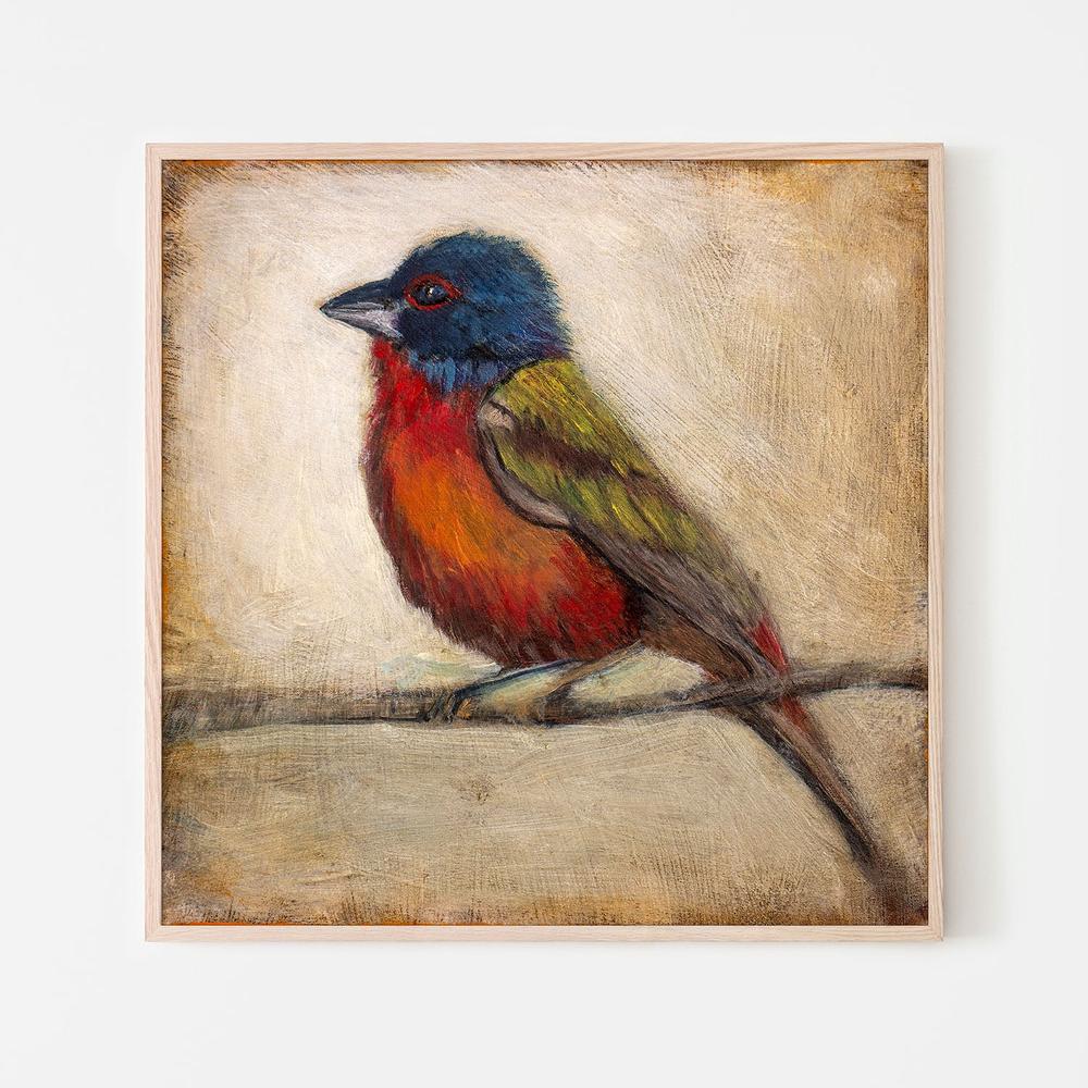 Colorful Painted Bunting - Image 6