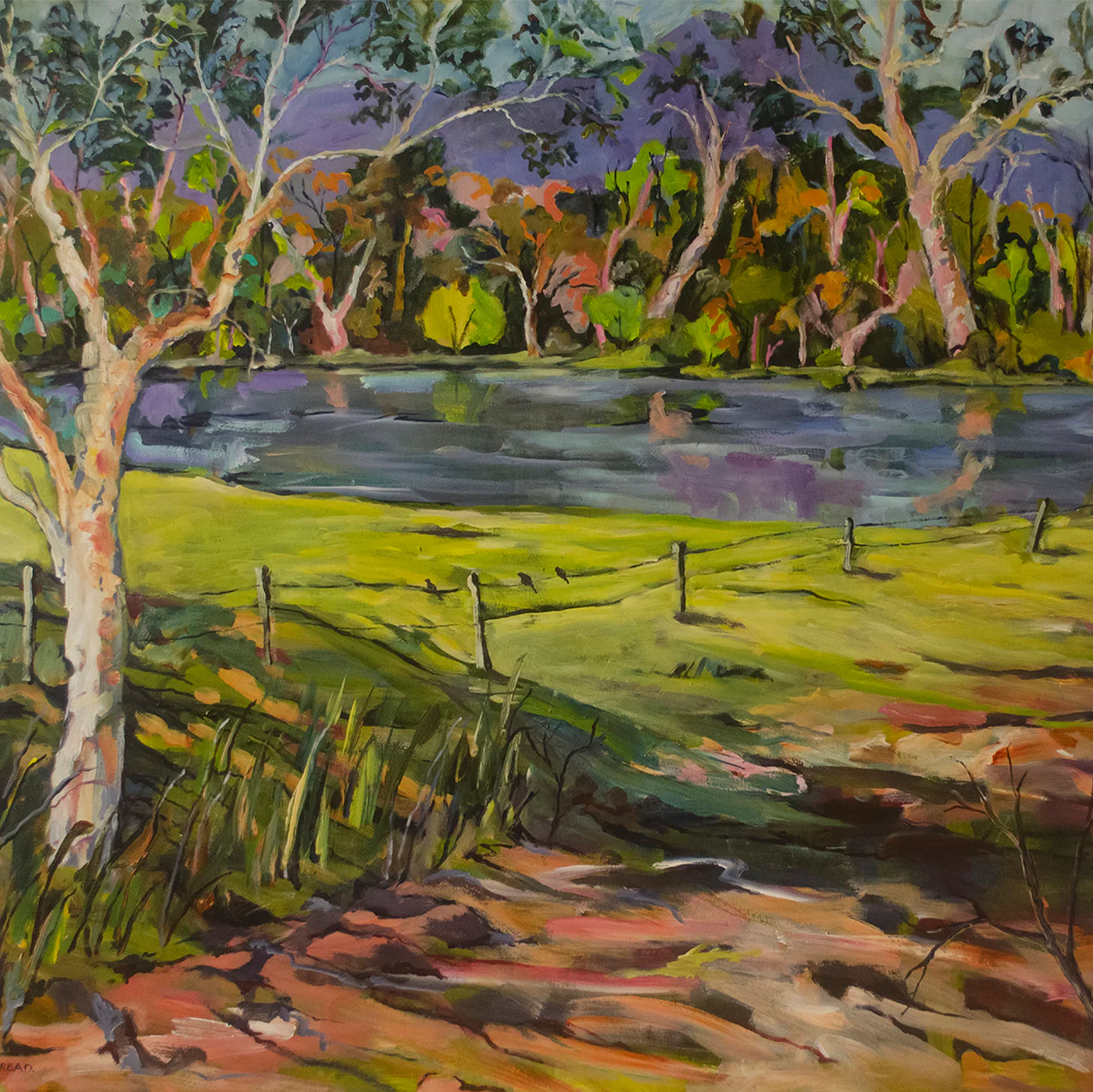 Conversations With The Kangaroo Valley