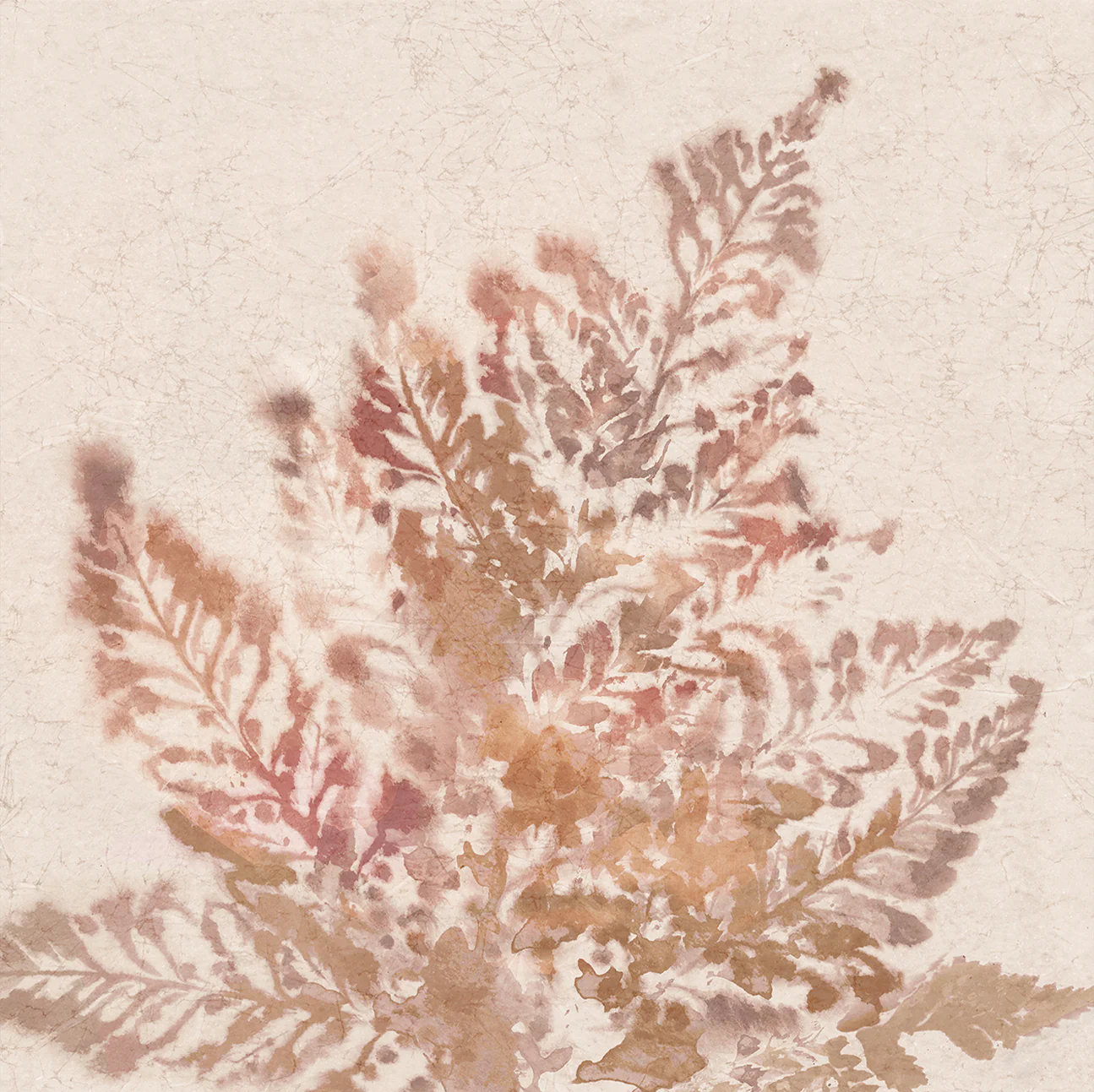 Coral Fern, Style A