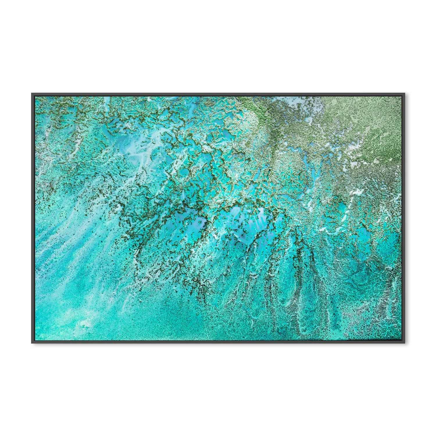Coral Kingdom - Image 3