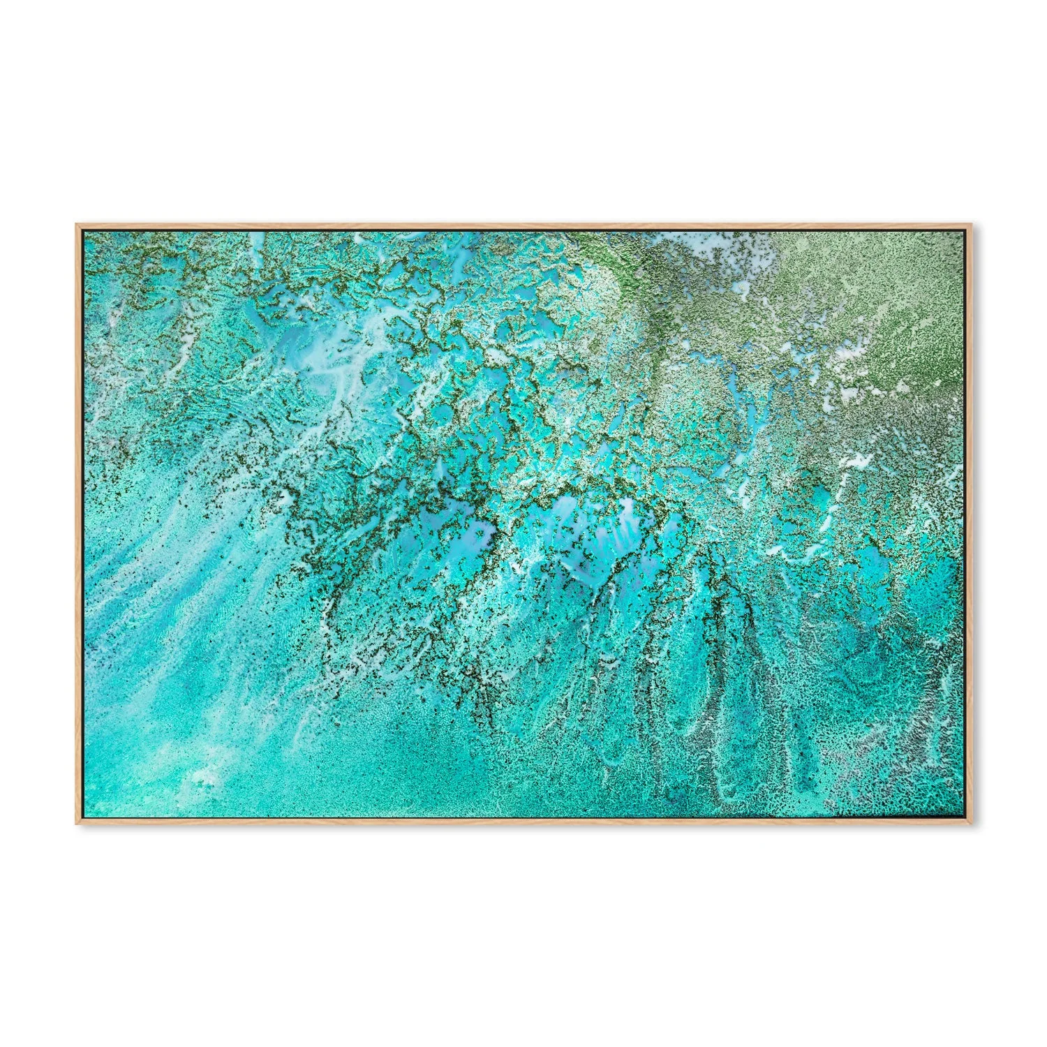 Coral Kingdom - Image 4