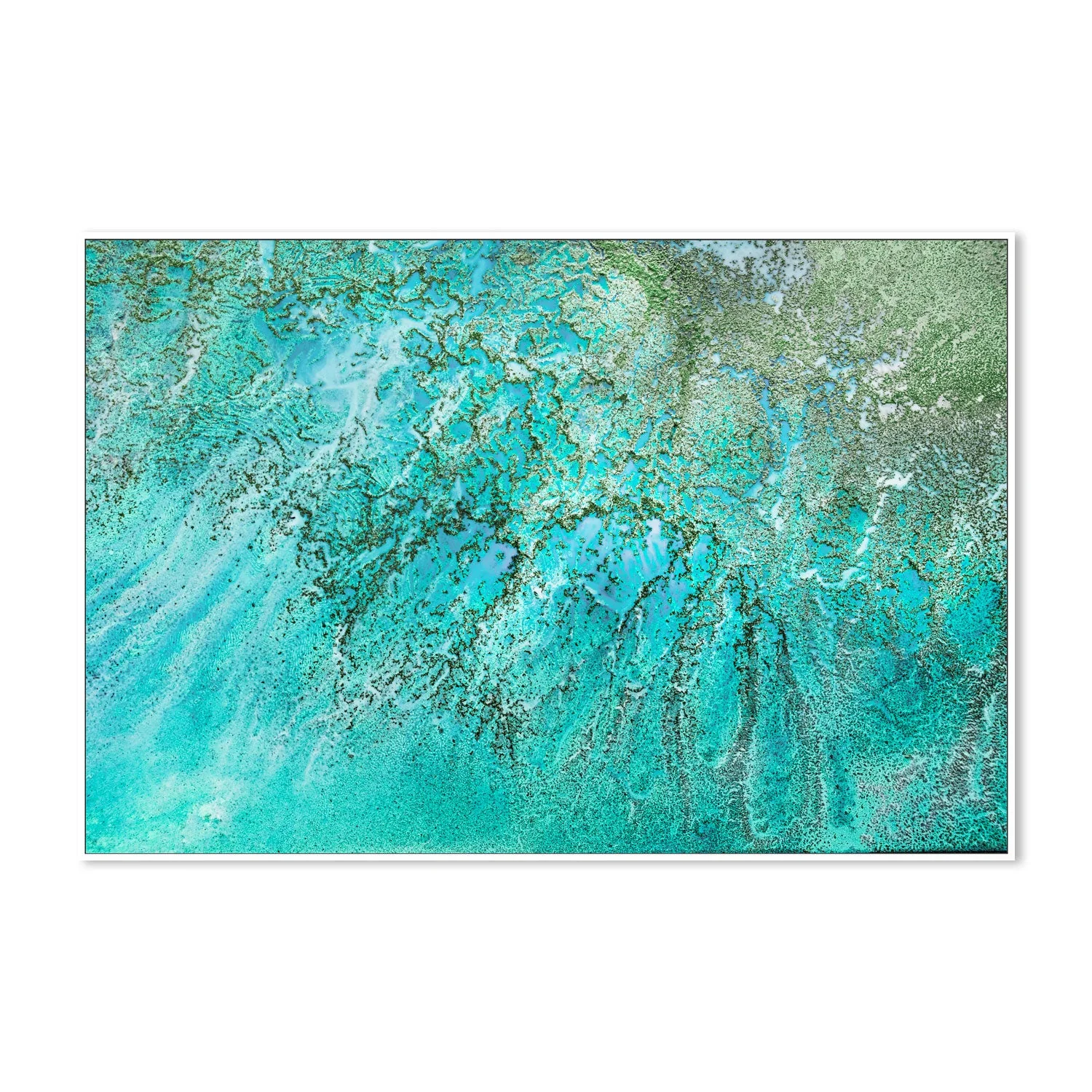 Coral Kingdom - Image 5