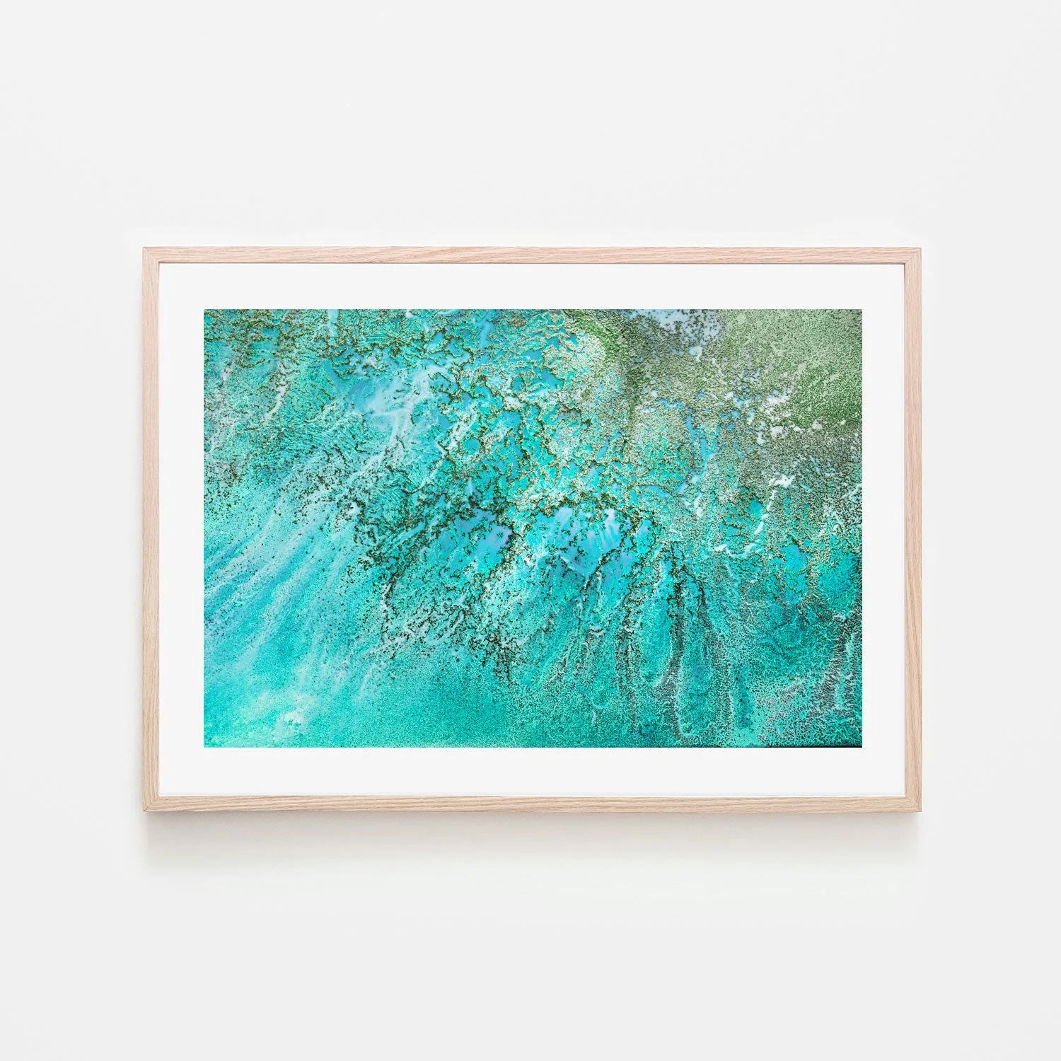 Coral Kingdom - Image 6