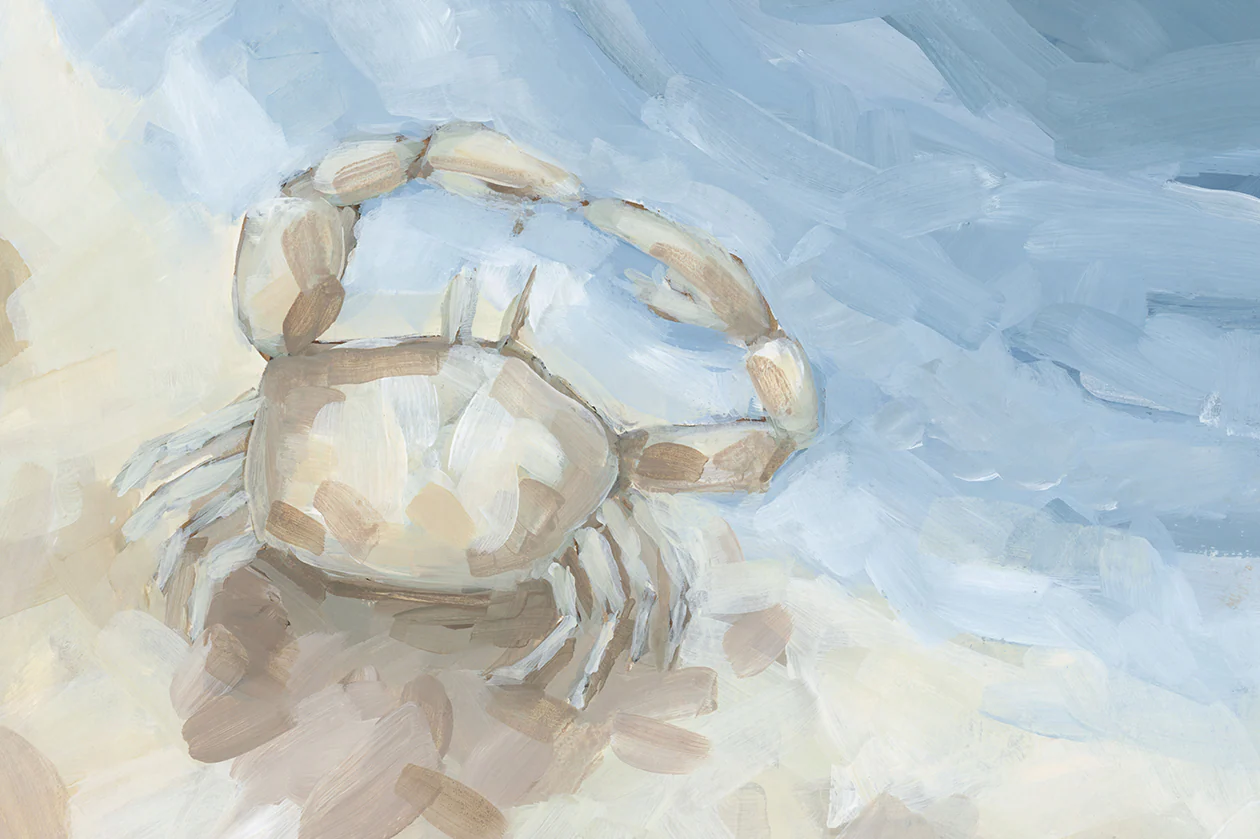 Crab In The Sand Style