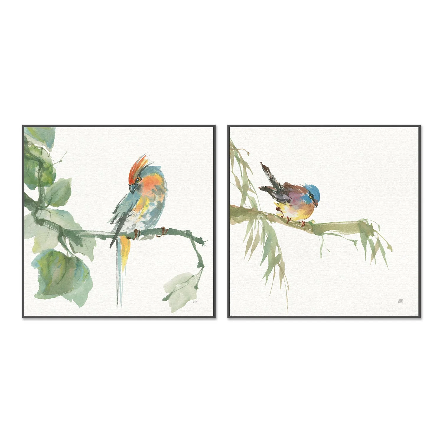 Crested Cockatoo And Finch, Set Of 2 - Image 3