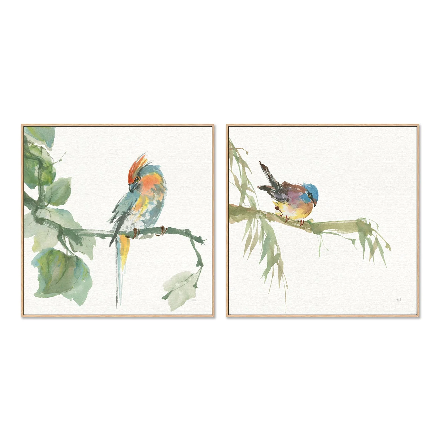 Crested Cockatoo And Finch, Set Of 2 - Image 4