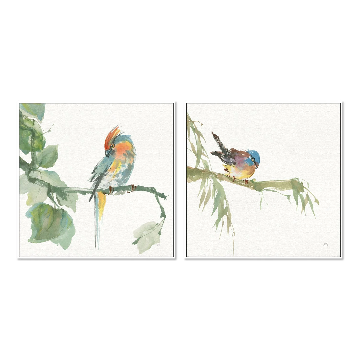 Crested Cockatoo And Finch, Set Of 2 - Image 5