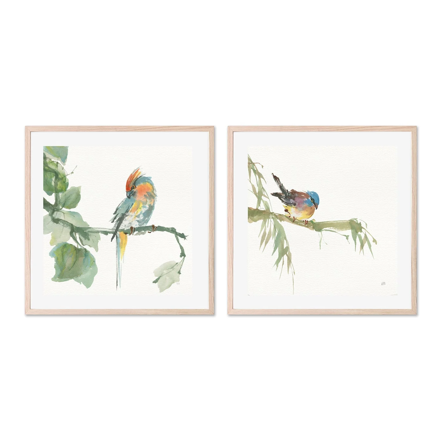 Crested Cockatoo And Finch, Set Of 2 - Image 6