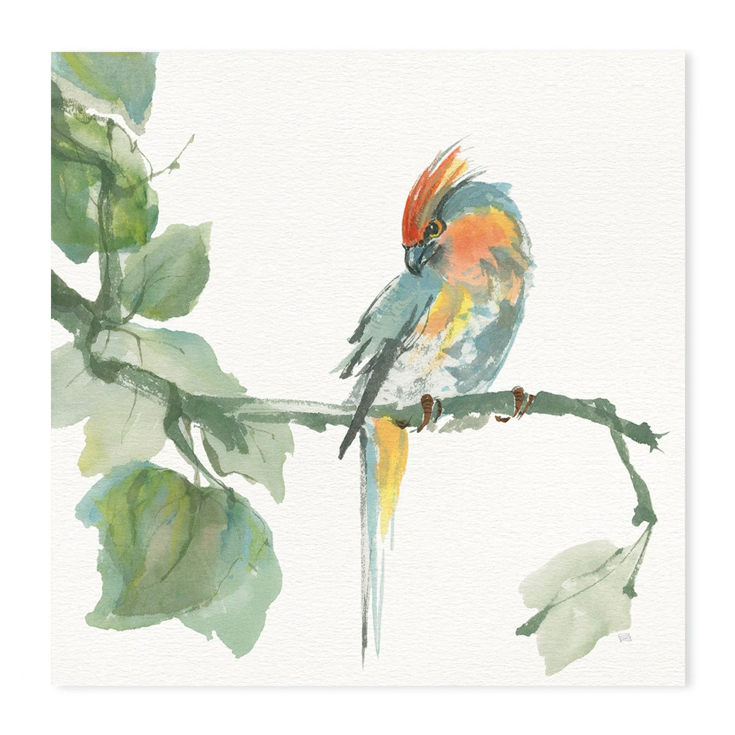 Crested Cockatoo And Finch, Set Of 2 - Image 7