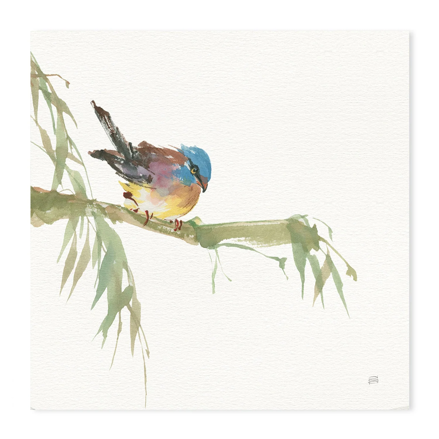 Crested Cockatoo And Finch, Set Of 2 - Image 8