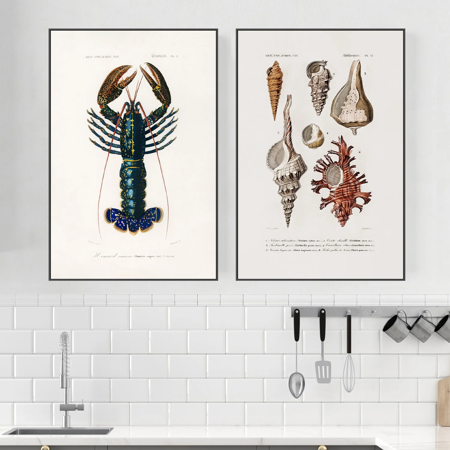 Crimson Crawfish & Sealife, Set Of 2 - Image 2