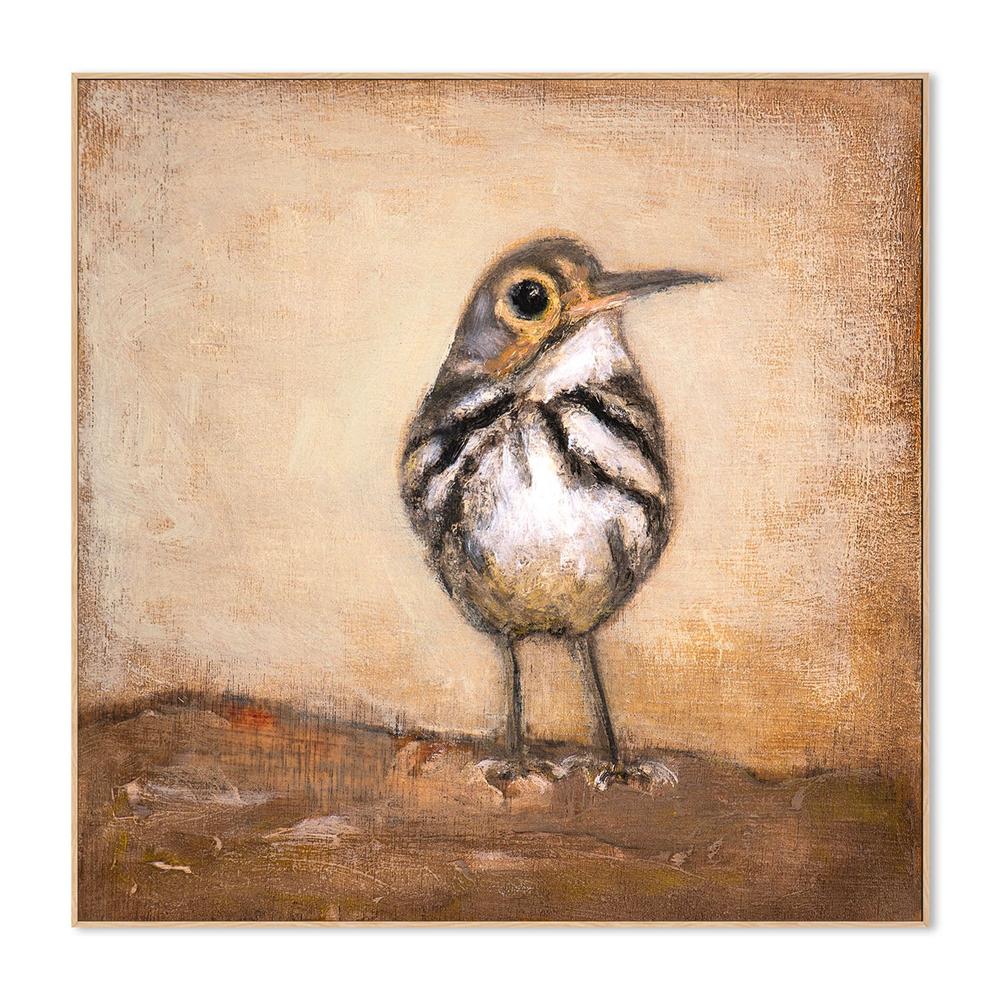 Curious Little Bird - Image 4