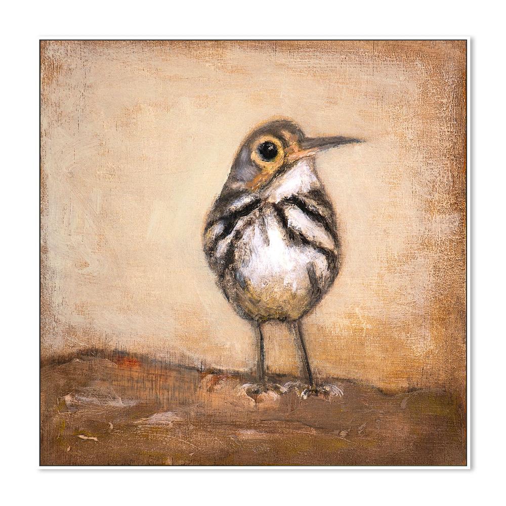 Curious Little Bird - Image 5