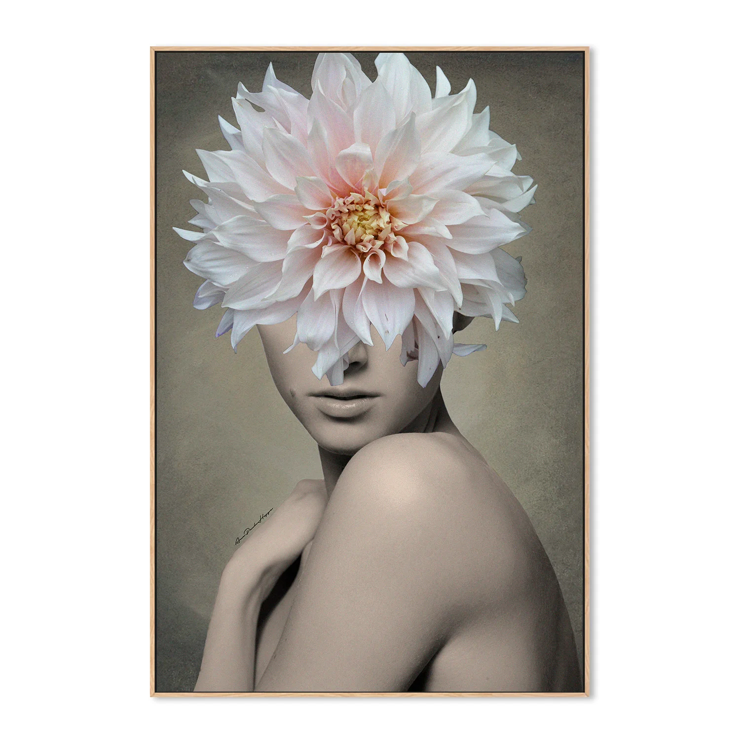 Dahlia - Image 4