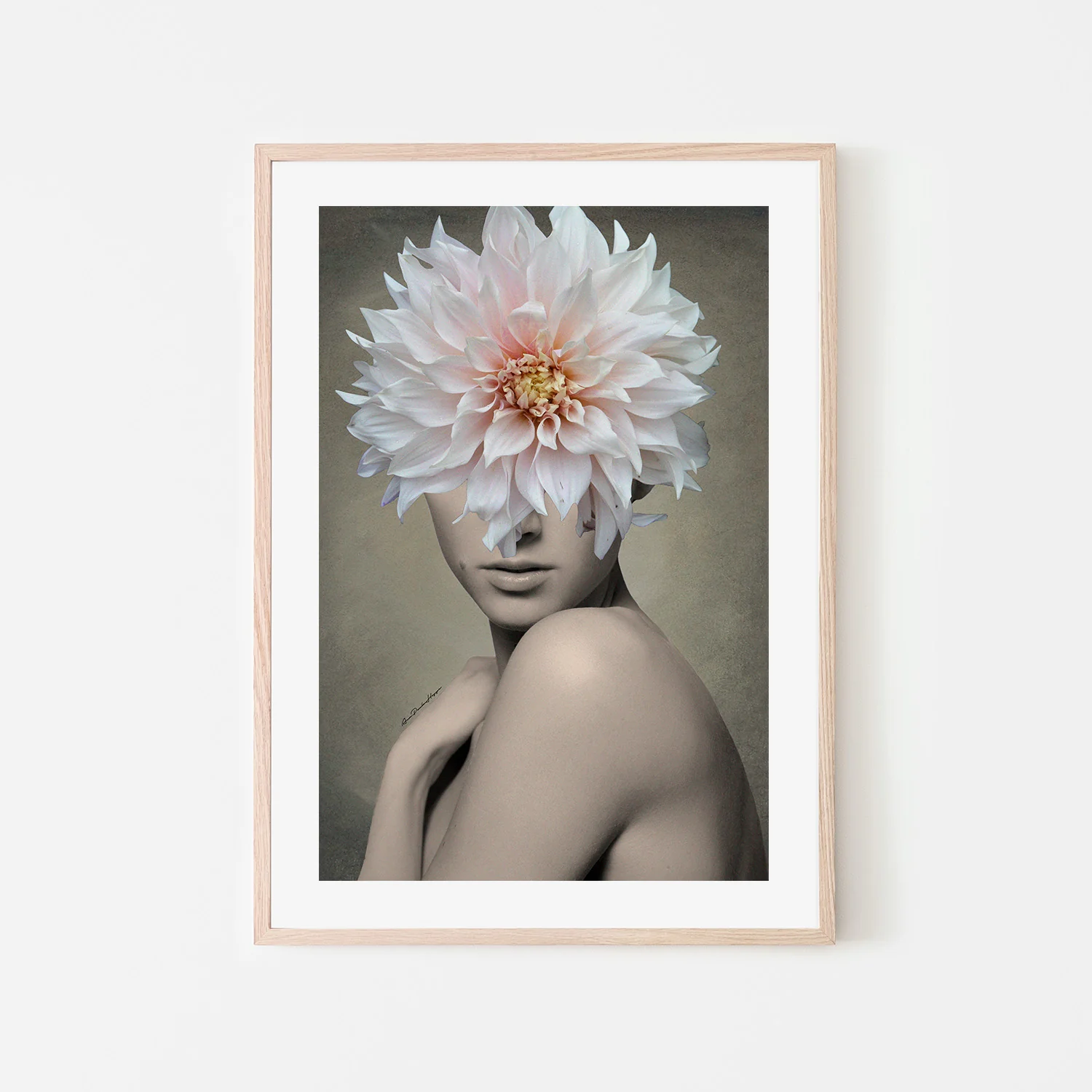Dahlia - Image 6
