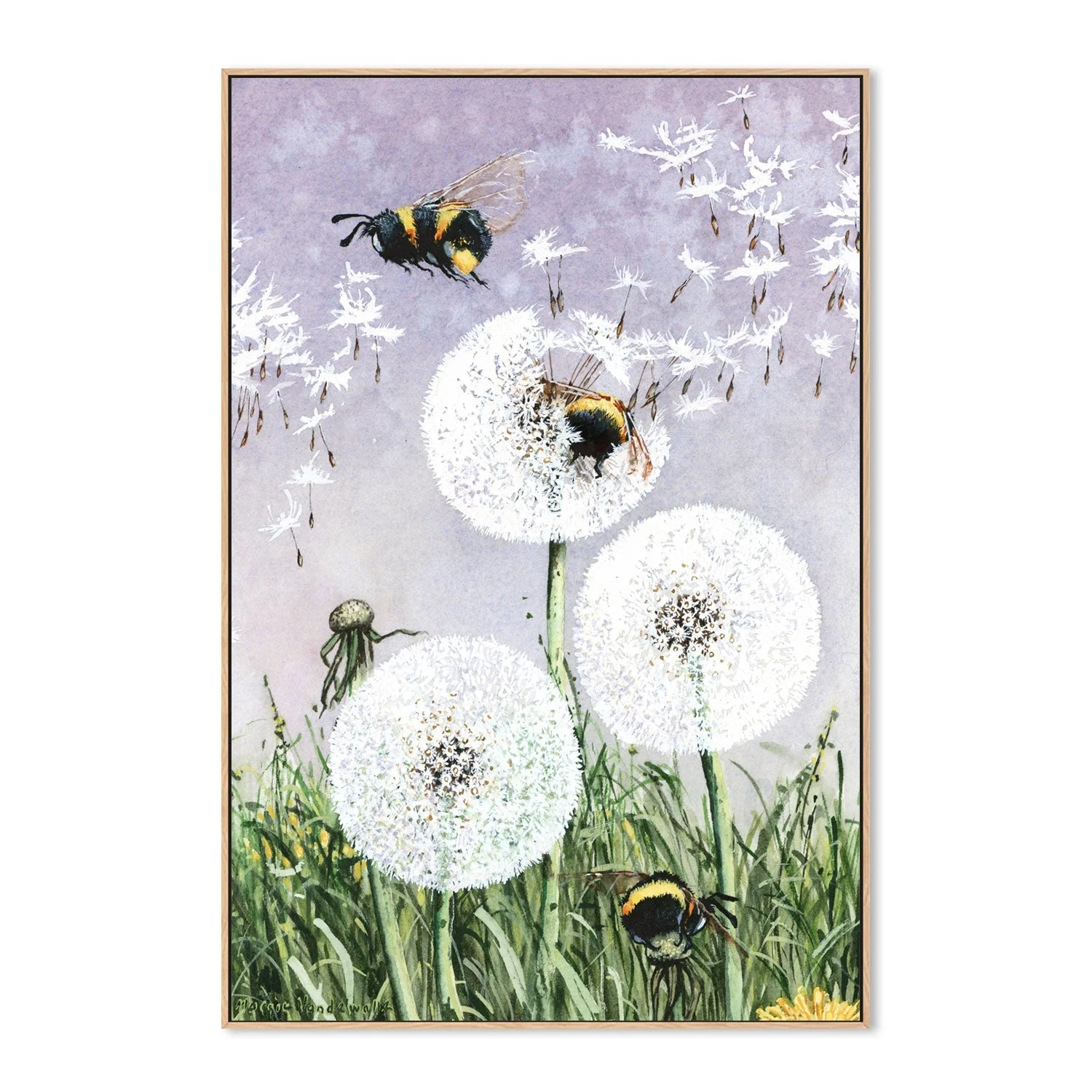 Dandybees - Image 4