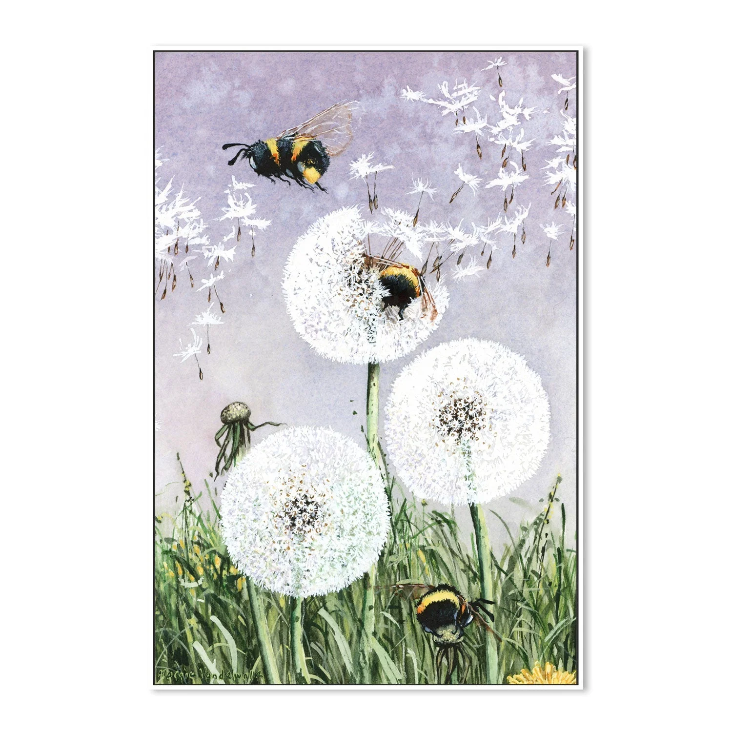 Dandybees - Image 5