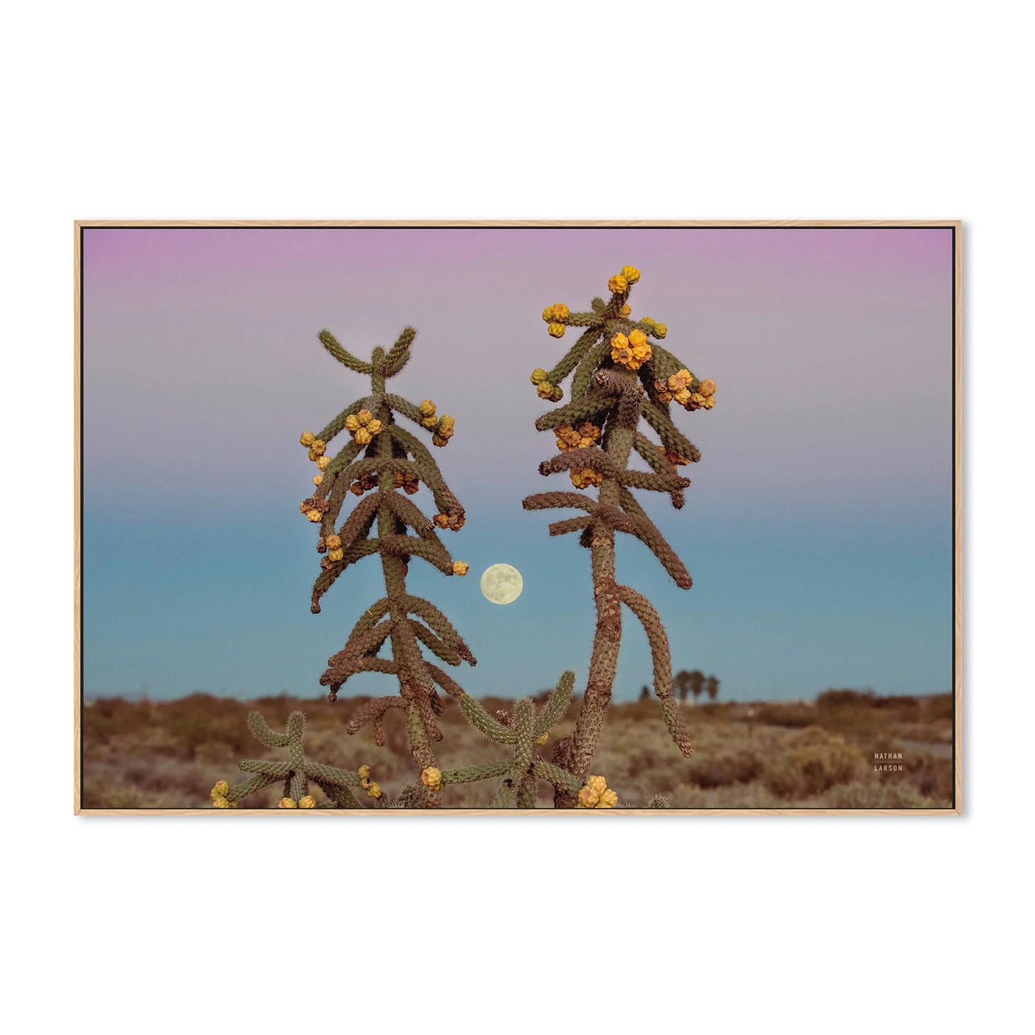Desert Moonrise - Image 4