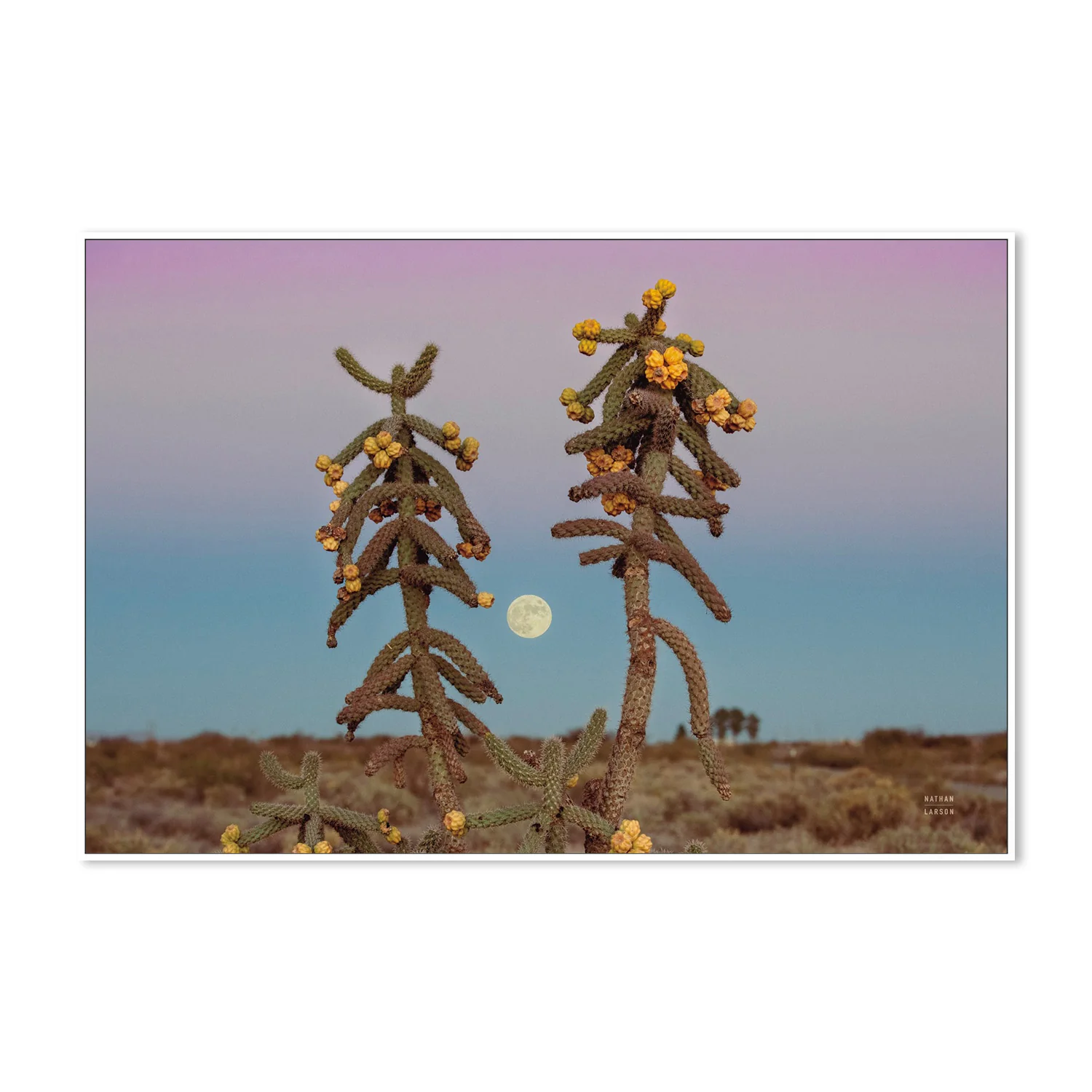 Desert Moonrise - Image 5