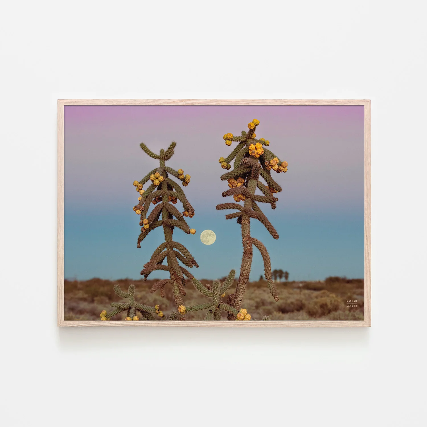 Desert Moonrise - Image 6
