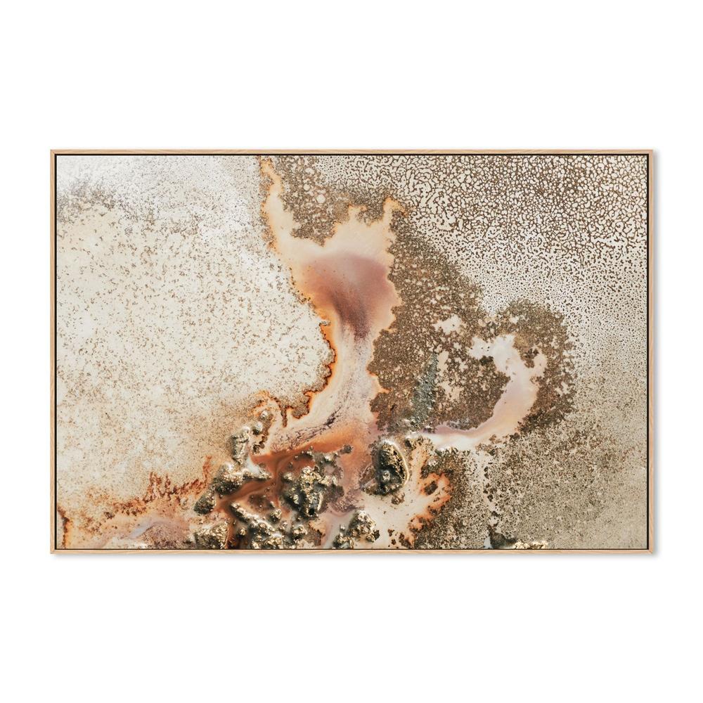 Discovery - Image 4