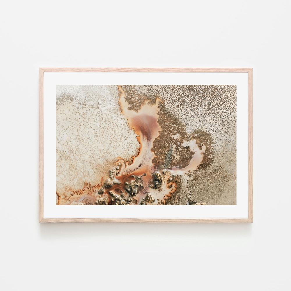 Discovery - Image 6