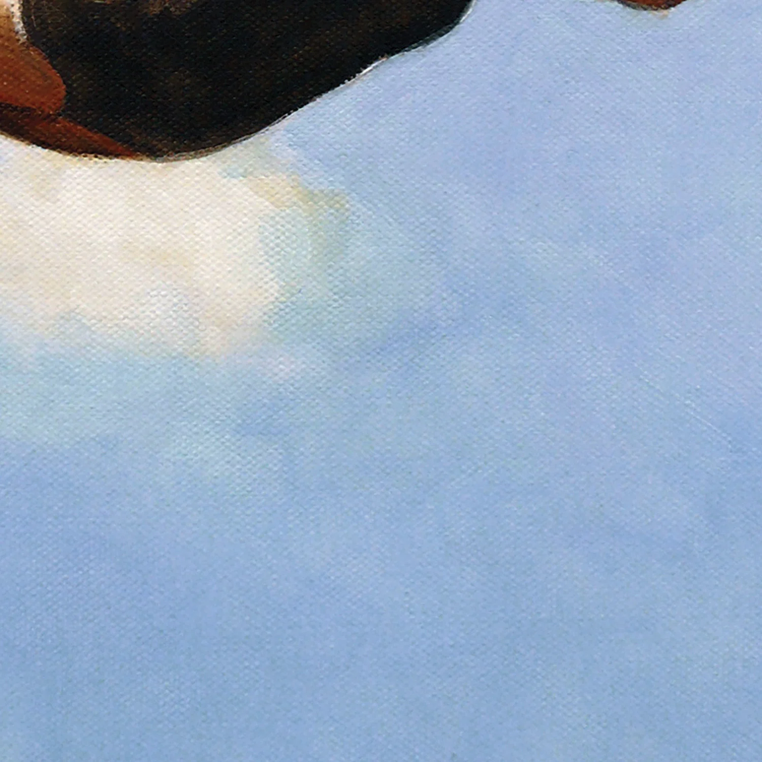 Diver in the Sky - Image 11
