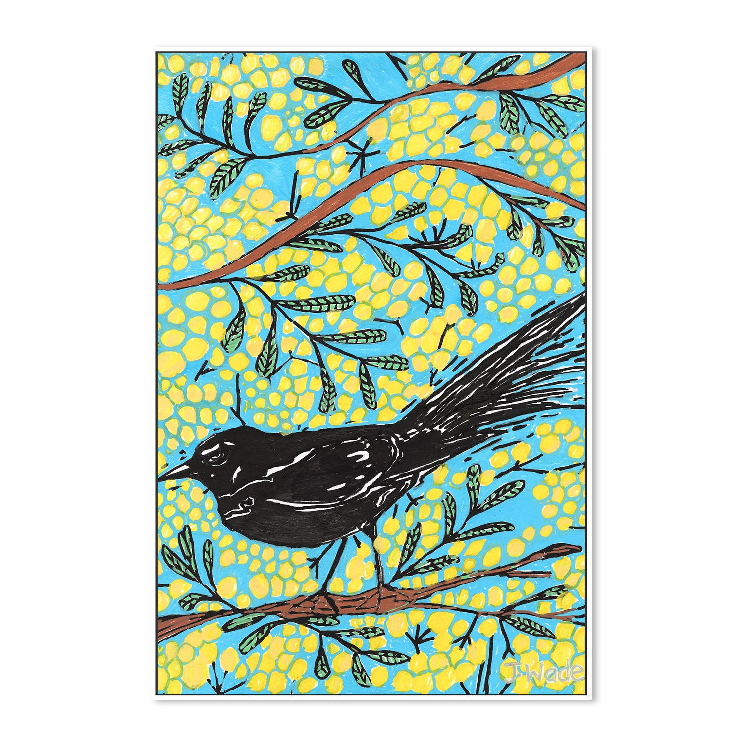 Djidi Wattleseed Journey - Image 5