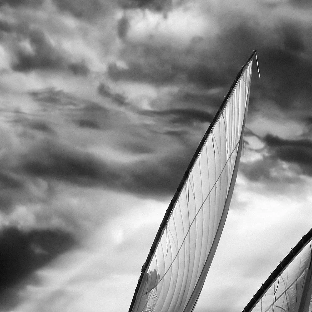Dramatic Sailing Race - Image 10