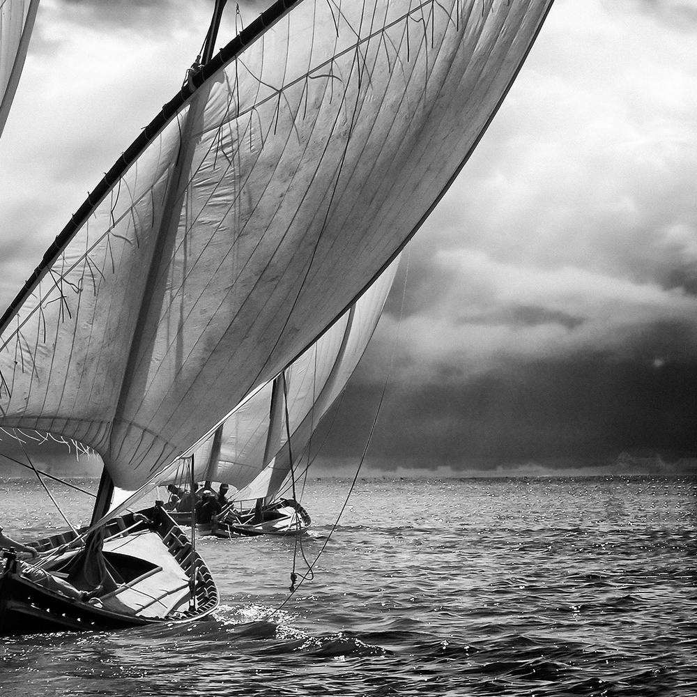 Dramatic Sailing Race - Image 11