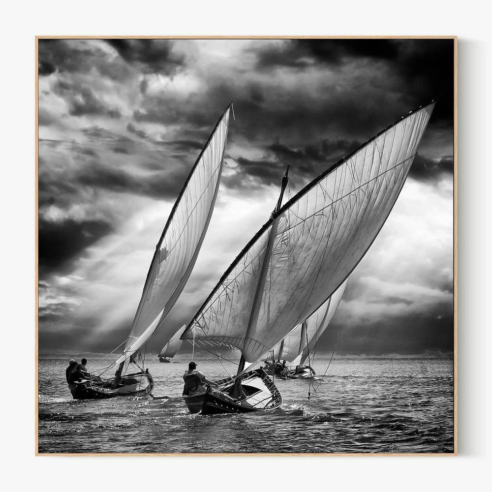 Dramatic Sailing Race - Image 4