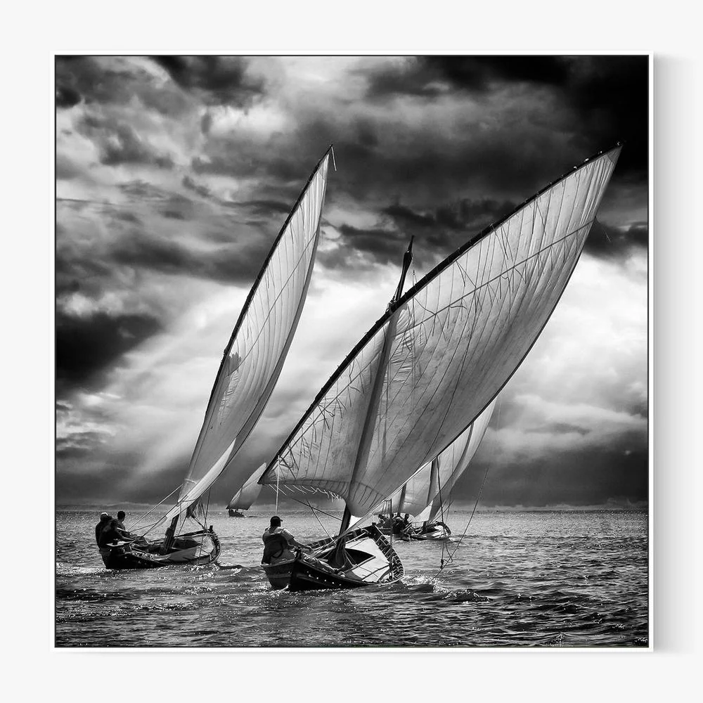 Dramatic Sailing Race - Image 5