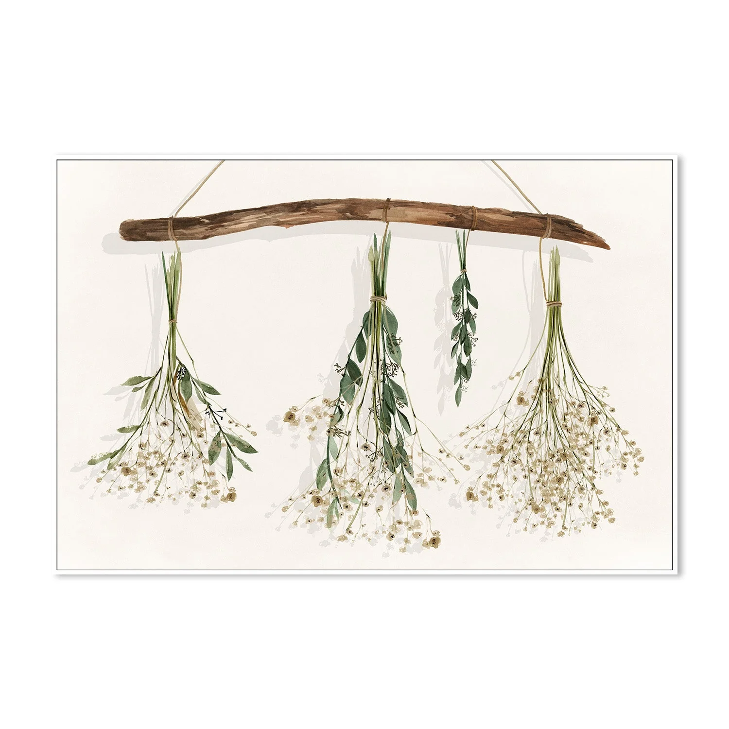 Drying Flowers - Image 5