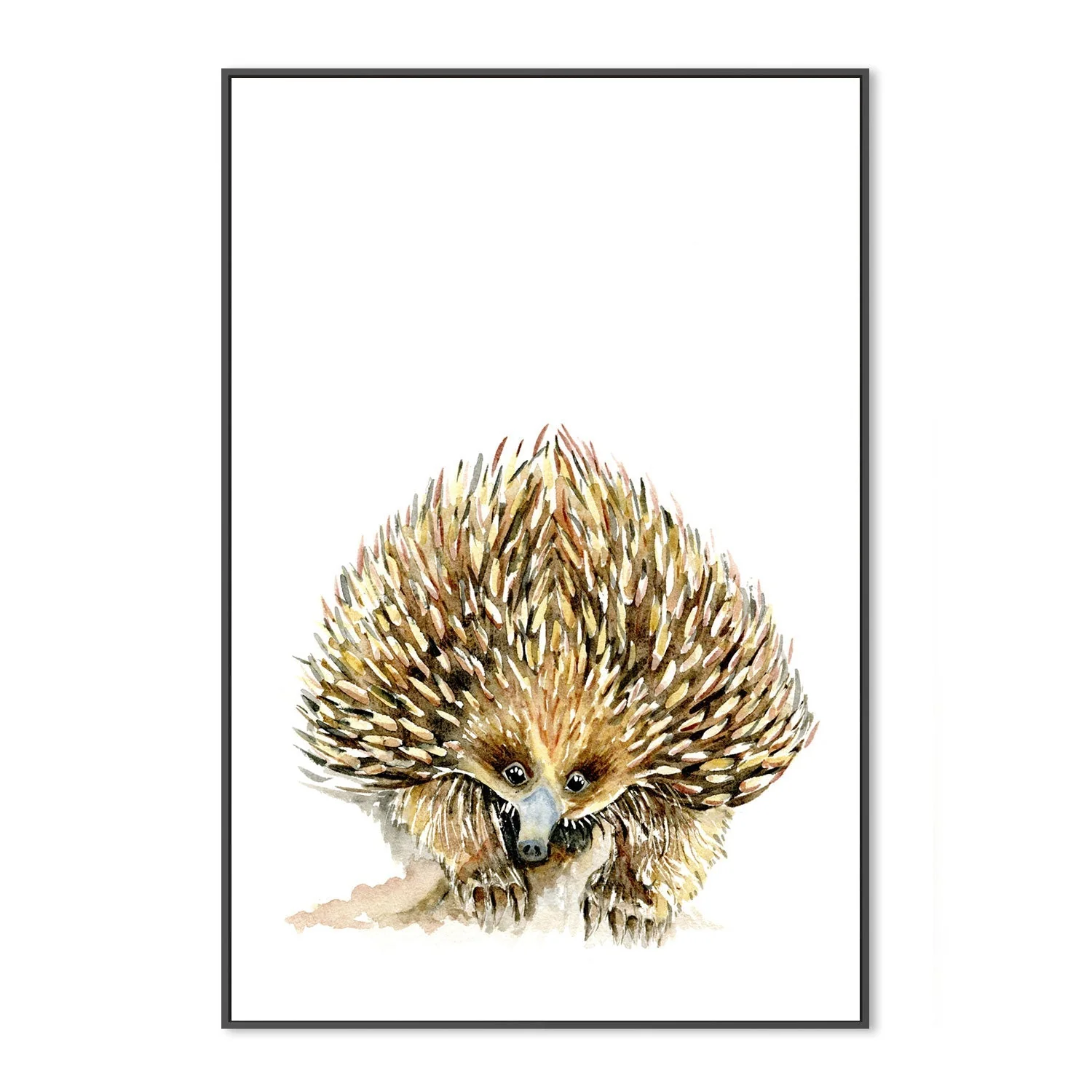 Echidna - Image 3