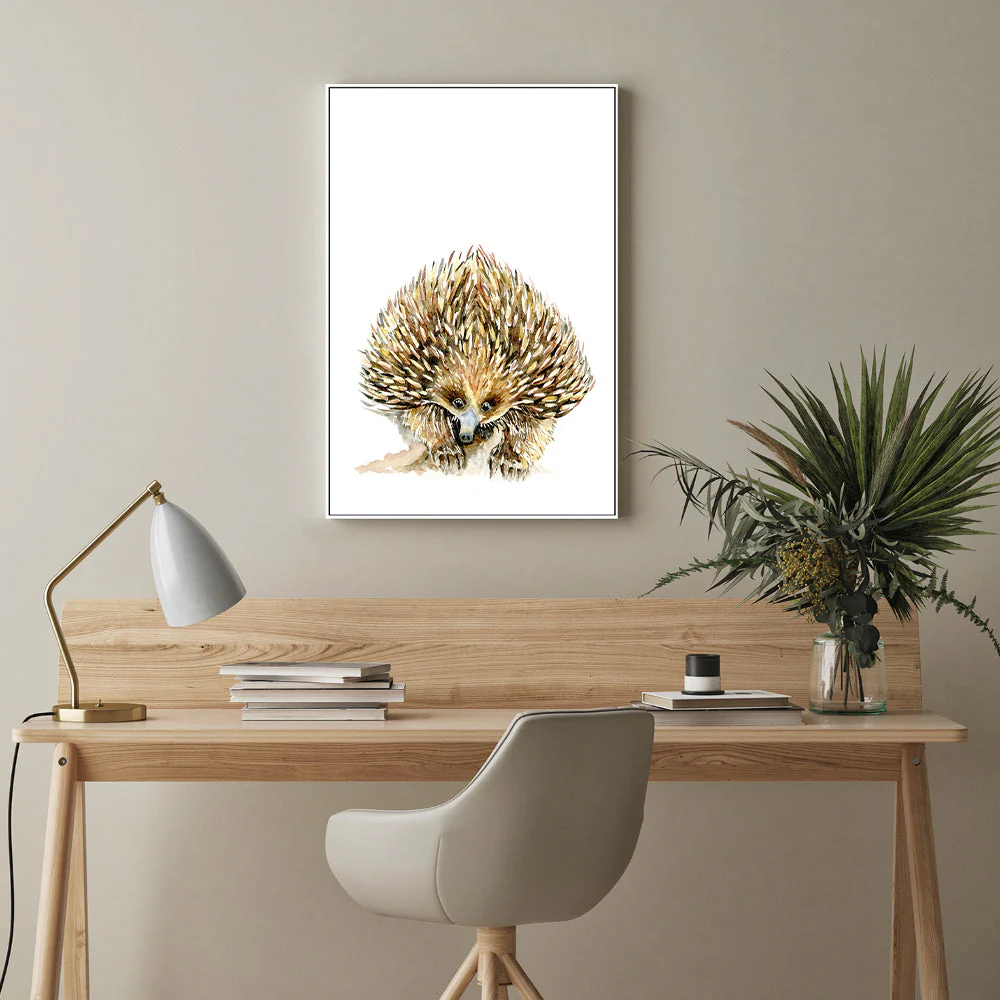 Echidna - Image 7