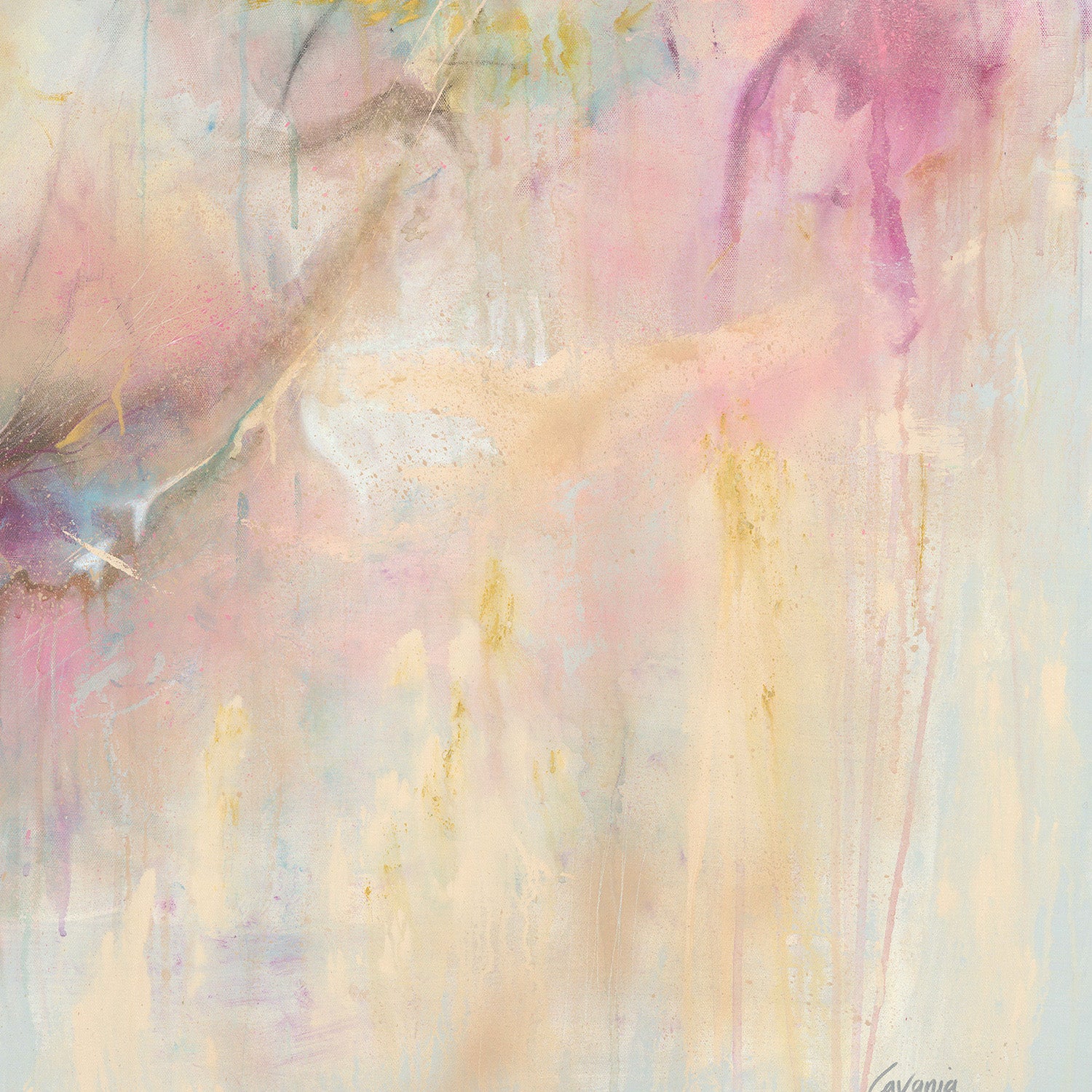Echoes in soft light - Image 11