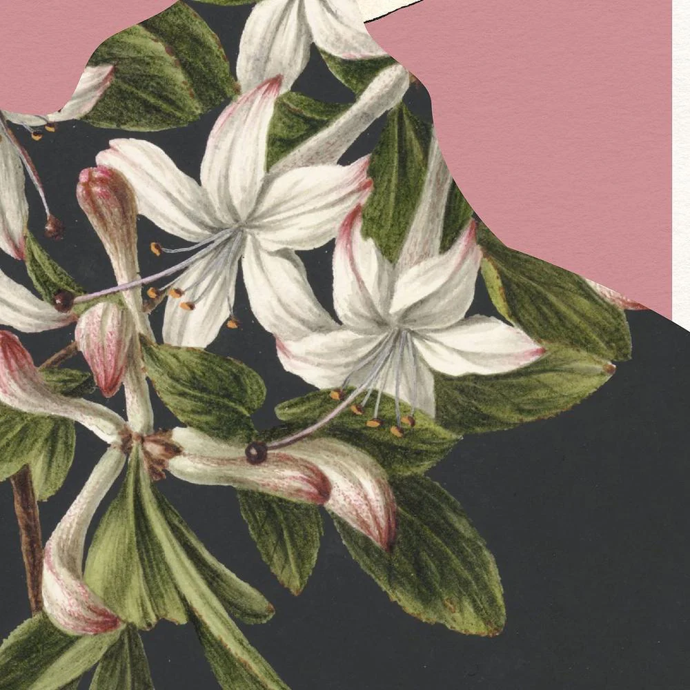 Elegant Floral Fashion - Image 11