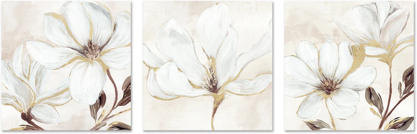 Elegant Magnolia, Style A, B & C, Set Of 3