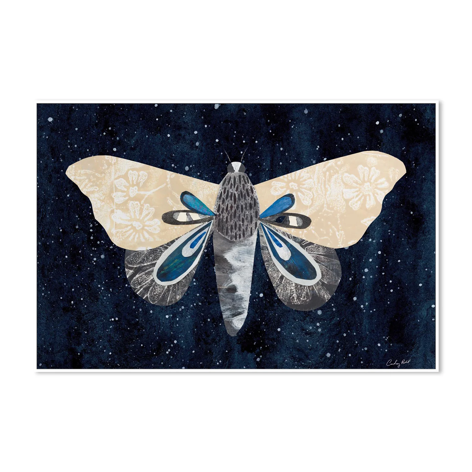 Elegant Moth, Style A - Image 5