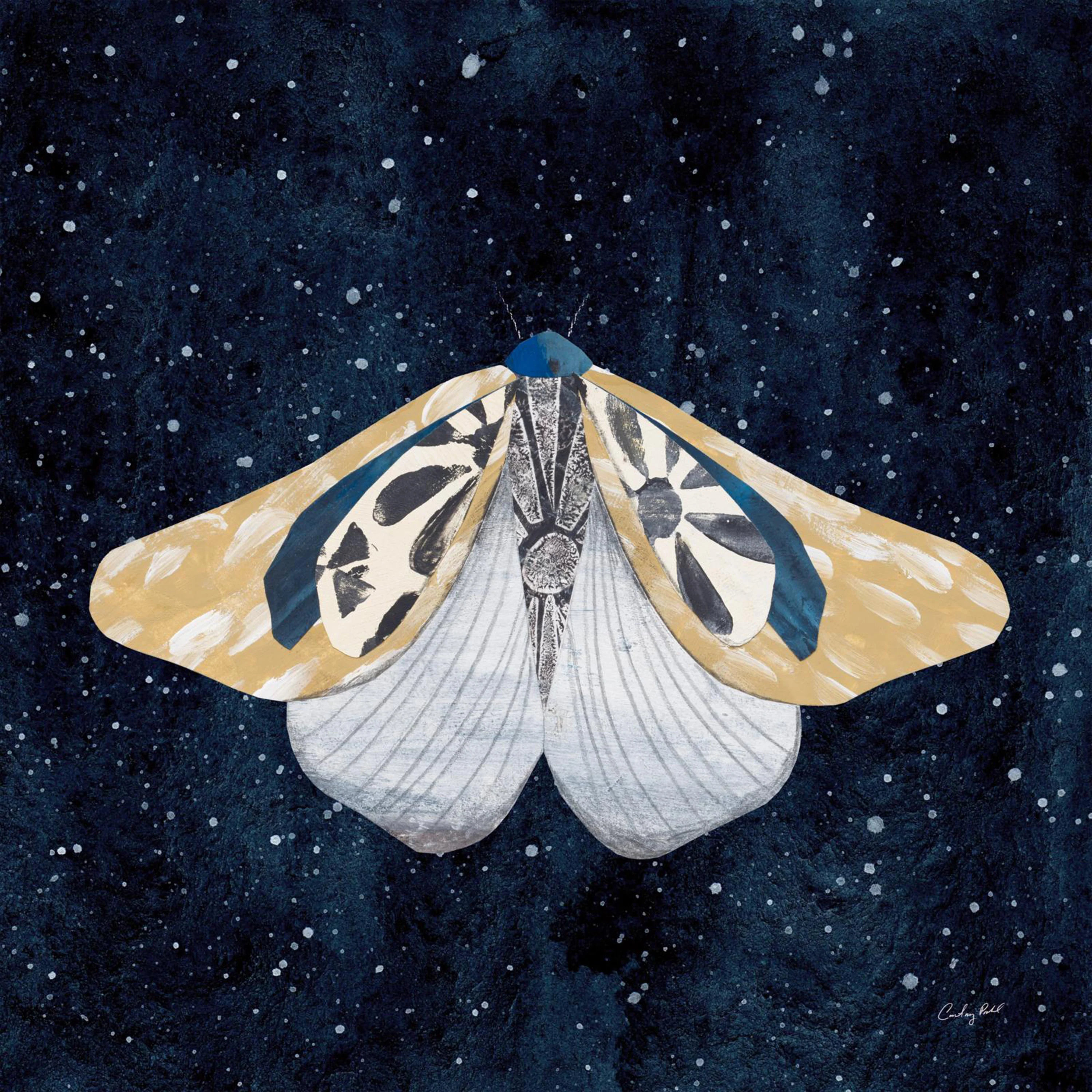 Elegant Moth, Style B