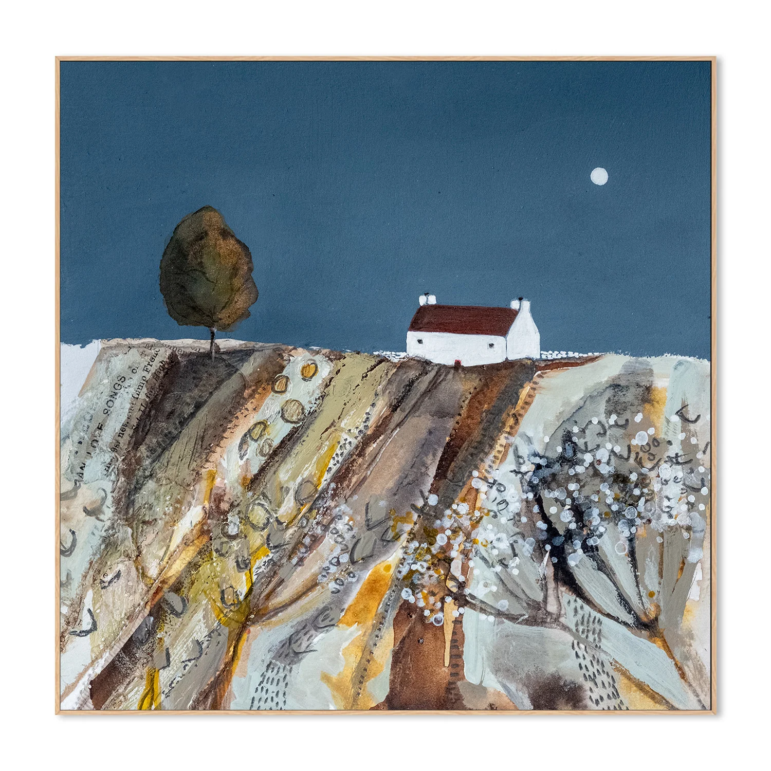 Evening Light - Image 4