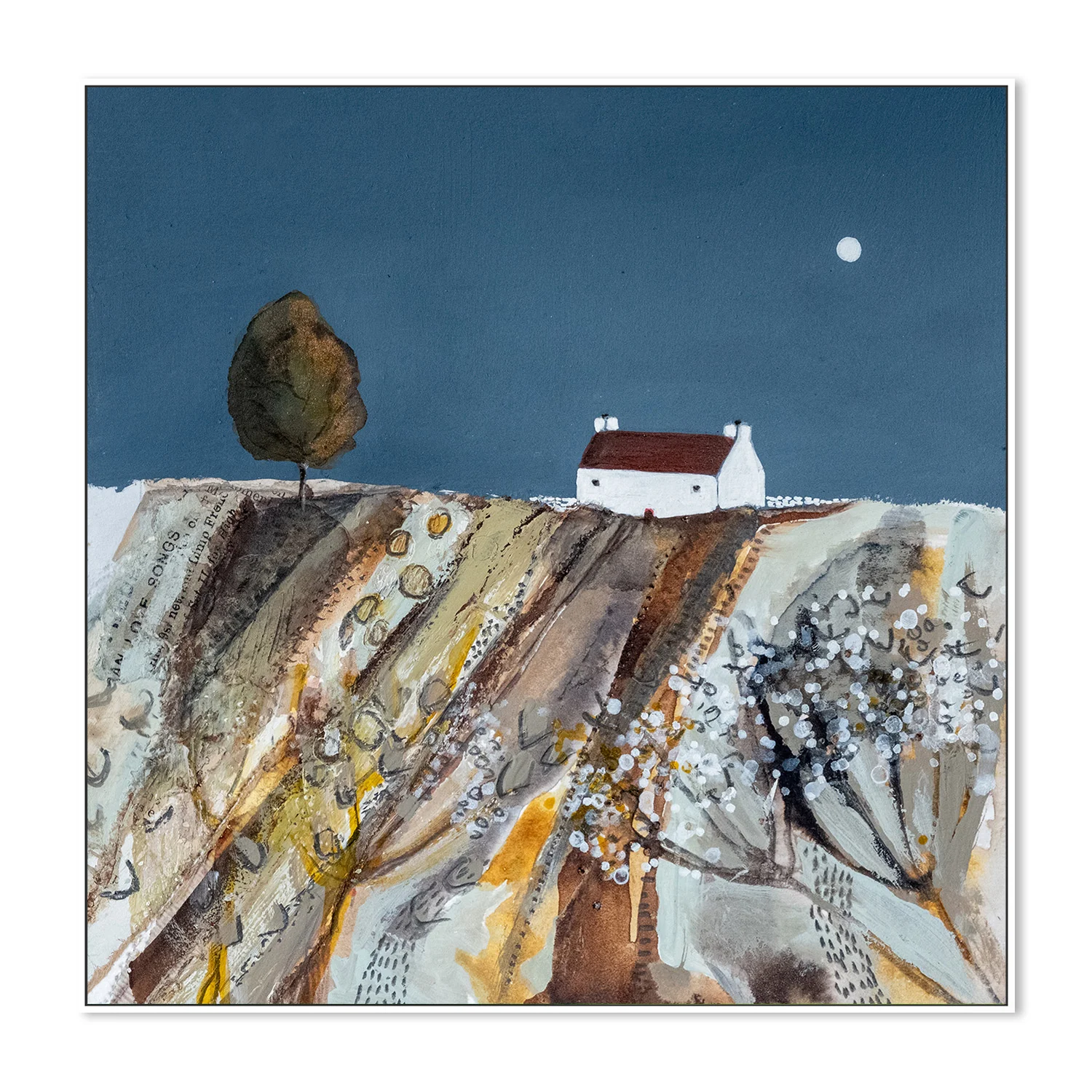 Evening Light - Image 5