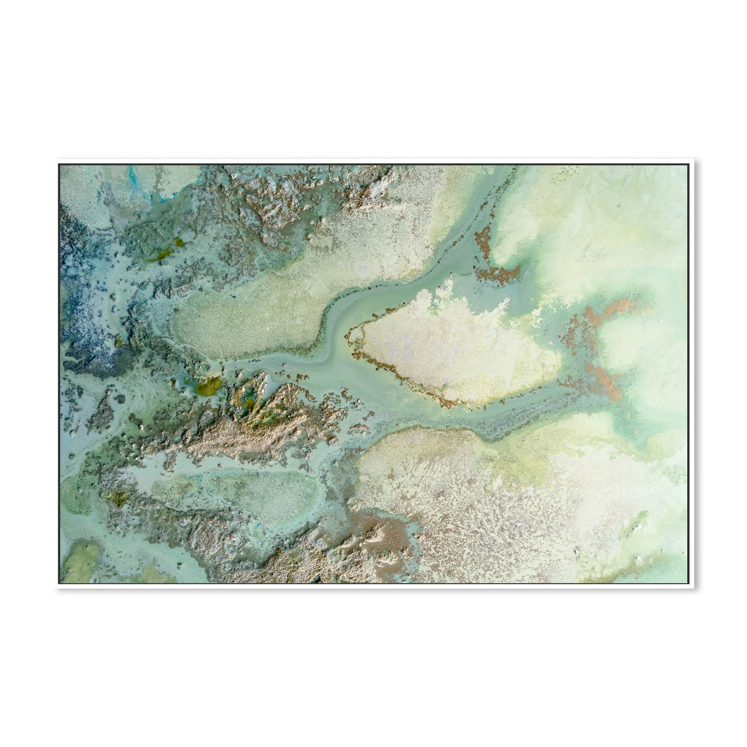 Evergreen - Image 5