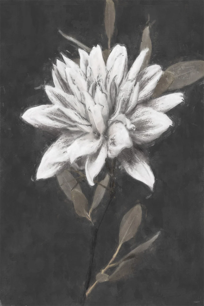Fable Lotus, Style C