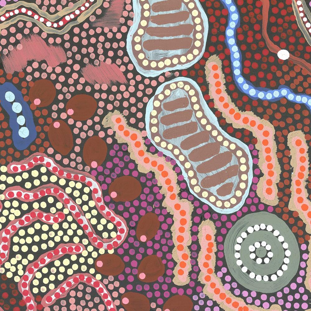 Family by the waterhole - Image 8