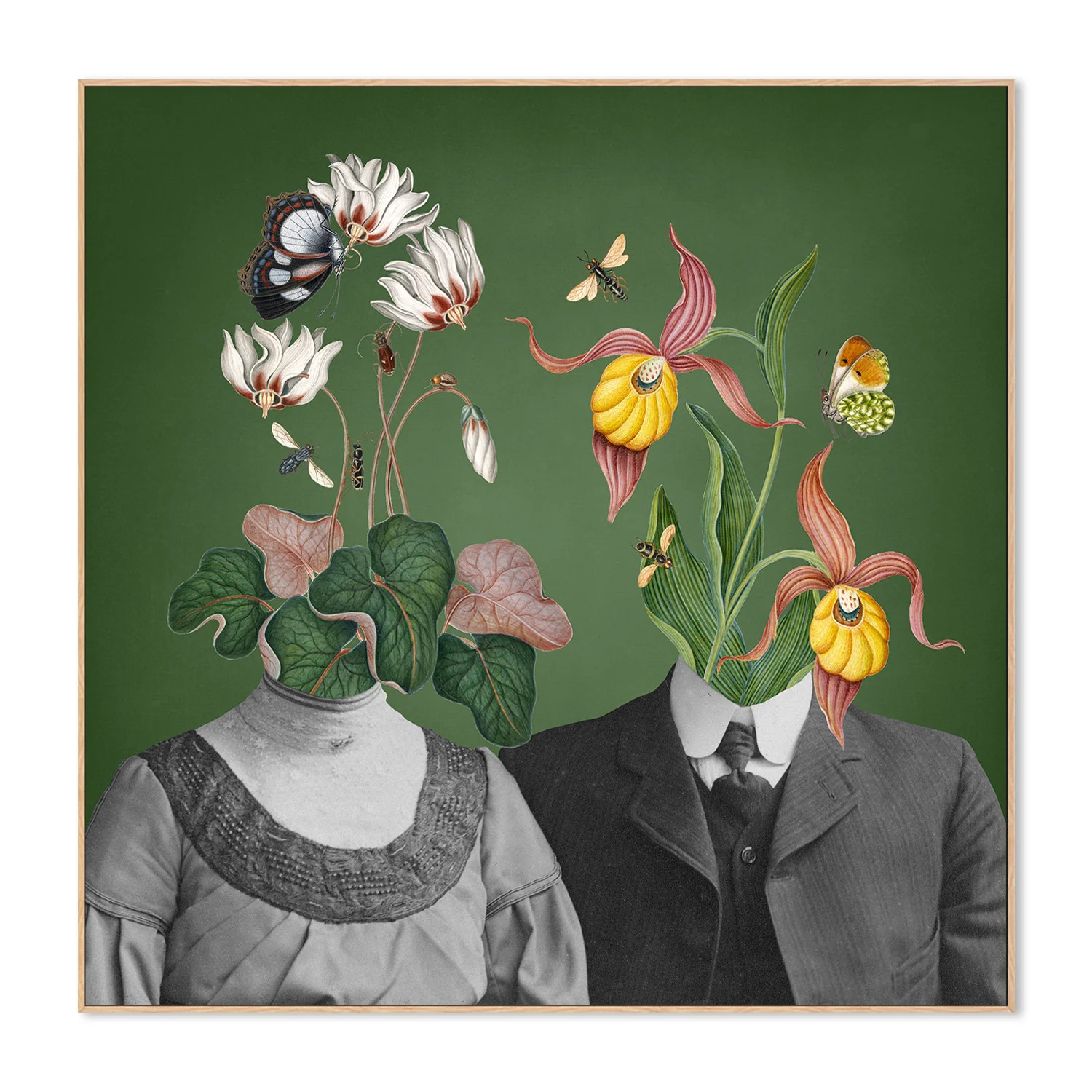 Family Portraits - Image 4